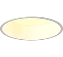 Потолочный светильник DesignLed wl белый, 20вт, 3000 BQ009120-WH-WW