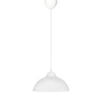 Светильник TDM ELECTRIC НСБ 1122/1 "home mini" 15 Вт, Е27, опал, шнур белый SQ0313-0031