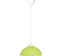 Светильник TDM ELECTRIC НСБ 1122/1 "home mini" 15 Вт, Е27, зеленый, шнур белый SQ0313-0034