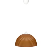 Светильник TDM ELECTRIC НСБ 1840/1 "home" 15 Вт, Е27, коричневый, шнур белый SQ0313-0042