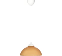 Светильник TDM ELECTRIC НСБ 1122/1 "home mini" 15 Вт, Е27, коричневый, шнур белый SQ0313-0032