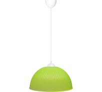 Светильник TDM ELECTRIC НСБ 1840/1 "home" 15 Вт, Е27, зеленый, шнур белый SQ0313-0044