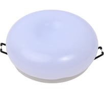 Светодиодный светильник Ambrella Light Downlight F469 W