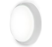 Светодиодный светильник Ambrella Light ZK100-8W 6500K 308108