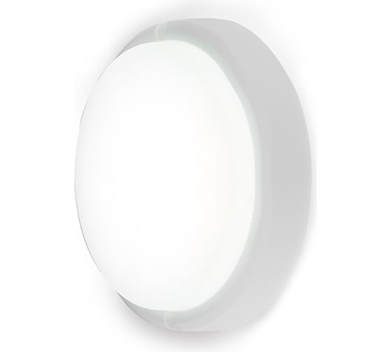 Светодиодный светильник Ambrella Light ZK100-8W 6500K 308108
