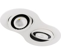 Точечный светодиодный светильник Ambrella Light белый 5+5W S505/2 W