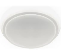 Управляемый светильник Ambrella Light ORBITAL AIR F30 WH 48W