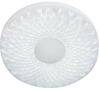 Управляемый светильник Ambrella Light ORBITAL CRYSTAL SAND FS1231 FR 48W