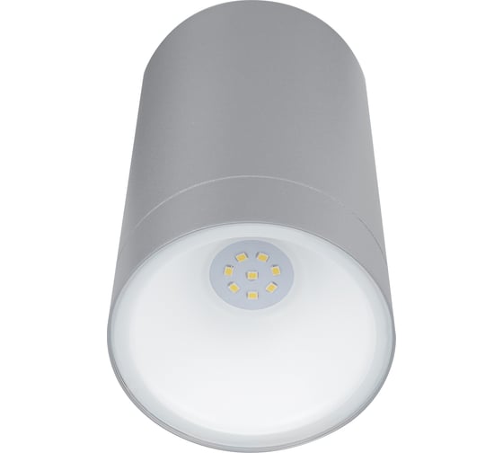Настенный светильник TDM ELECTRIC led, соло, 6 Вт, 4000 к, h160 мм, алюминий/серый, ip65, SQ0345-1092