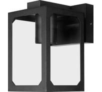 Садово-парковый светильник TDM ELECTRIC "чикаго" 60 Вт, вниз, металл, прозрачное/черный, Е27, SQ0330-0242