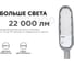 Консольный светодиодный светильник Apeyron 200Вт, 230/50Гц, 22000Лм, 5000К, ip65, КСС "Ш", ф60мм 29-06 4