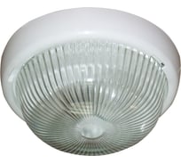 Светильник ЭЛЕТЕХ Аква 200 НБО 23-60-001 IP44 1005500905