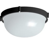 Светильник ЭЛЕТЕХ Банник 1101 Круг большой НПП 03-100-009 IP65 1005500926