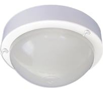 Светильник ЭЛЕТЕХ Терма 3 НББ 03-60-003 IP65 1005500586