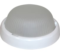 Светодиодный светильник ЭЛЕТЕХ Аква 200 LED 23-12-002 200х85, 9Вт, 6000К ГУ 1030450284