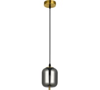 Подвесной светильник freddie ARTE LAMP A2234SP-1PB