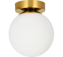 Настенно-потолочный светильник ARTE LAMP alcor A2224PL-1PB