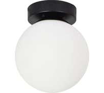 Настенно-потолочный светильник ARTE LAMP alcor A2224PL-1BK