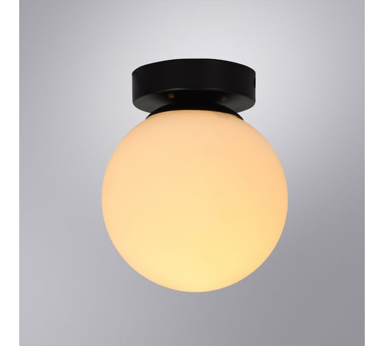 Настенно-потолочный светильник ARTE LAMP alcor A2224PL-1BK
