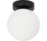 Настенно-потолочный светильник ARTE LAMP alcor A2224PL-1BK 1