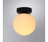 Настенно-потолочный светильник ARTE LAMP alcor A2224PL-1BK 2