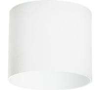 Накладной светильник Lightstar rullo 213486