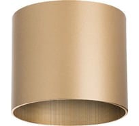 Накладной светильник Lightstar rullo 213490