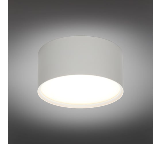 Накладной светильник Omnilux abano OML-103309-12