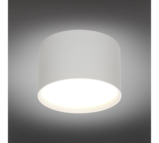 Накладной светильник Omnilux abano OML-103309-06