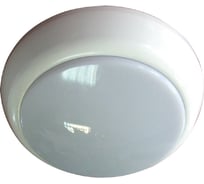 Светильник ЭЛЕТЕХ микро 250 нпо 22-60-250 опал ip44 1005500900
