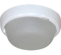 Светодиодный светильник ЭЛЕТЕХ аква 240 led 23-12-001 240х90, 12вт, 6000к 1030450283