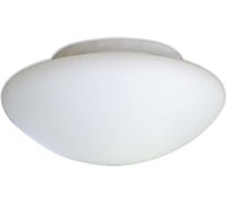 Светодиодный светильник ЭЛЕТЕХ полусфера е 235, led 10 m01 опал матовый 1030450301