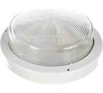 Светильник ЭЛЕТЕХ селена 2 нпп 03-100-002 ip65 корпус белый 1005500192