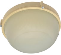 Светильник ЭЛЕТЕХ терма 1101 круг большой нбб 03-100-009 ip65 матовый 1005501010