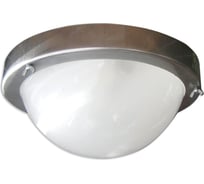 Светильник ЭЛЕТЕХ терма 1 нбб 03-100-001 ip65 корпус серебро 1005500573