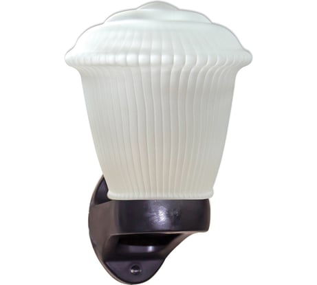 Светильник ЭЛЕТЕХ фонарь 2а нбу 06-60-02 прозрачный матовый рифленый ip44 корпус черный 1030480282