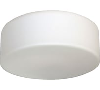 Светильник ЭЛЕТЕХ Диско 200 НПО 22-60-240 опал ГУ 1005151598