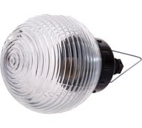 Светильник ЭЛЕТЕХ НСП-03-60-001 Кольца прорачный IP53 1005550121