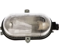 Светильник ЭЛЕТЕХ ПСХ-60 НБП 01-60-001 1005500137