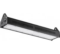 Складской светильник FERON 100W 120/60 IP44 AC220-240V, черный, AL1102 29854