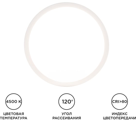 Светодиодная панель Apeyron накладная круглая, 220В, 10Вт, алюминиевый корпус, изолированный драйвер ДН 06-36
