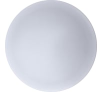 Светодиодный светильник IN HOME DECO 14Вт 4000К 910лм 230В 300мм рондо 4690612008165