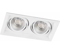 Карданный светодиодный светильник FERON 2x20W 3600 Lm, 4000К, 35 градусов, белый, AL202 29777