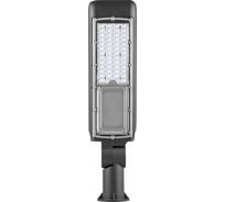 Уличный светодиодный светильник FERON 30LED*30W A85-265V/50Hz цвет черный IP65, SP2818 32251