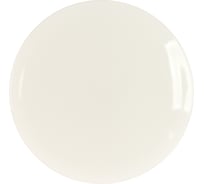 Бытовой светильник ЭРА Fashion SPB-6 светодиодный 60Вт, 3000-6500К Saturn, 556х76 Б0030131