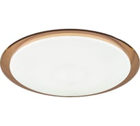 Бытовой светильник ЭРА Fashion SPB-6 светодиодный 60Вт, 3000-6500К Saturn, коричневый, 556х7 Б0030132