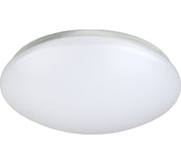 Бытовой светодиодный светильник ЭРА SPB-6-24-4K F 24Вт 4000К 185 Б0032256