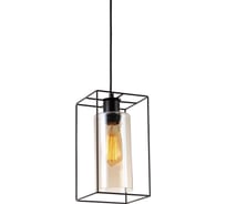 Подвесной светильник TOPLIGHT robyn TL1176H-01BK