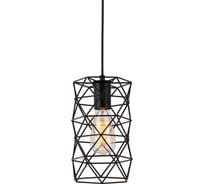 Подвесной светильник TOPLIGHT marcia TL1175H-01BK