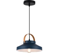 Подвесной светильник TOPLIGHT wendi TL1225H-01GR